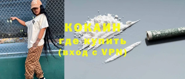 индика Верея
