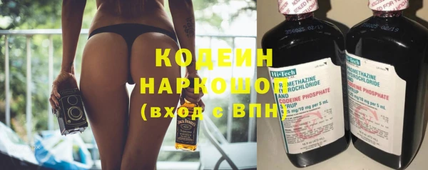 индика Верея