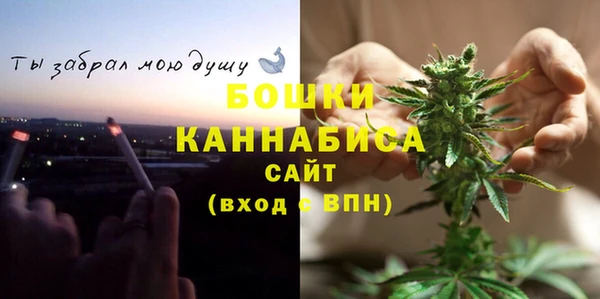 индика Верея