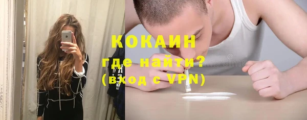 индика Верея