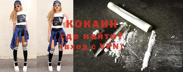 индика Верея