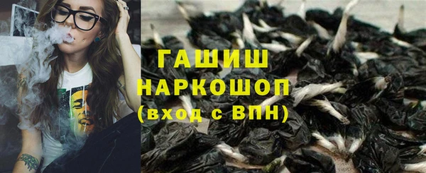индика Верея